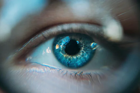 The Psychology of Image Loading: How Perceived Performance Affects User Behavior